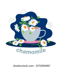 Daisy flower. Chamomile. Chamomile tea. Cup, mug of tea. Herb drink from flowers of chamomile medicinal. Hot aromatic fresh tea. Flat vector illustration, isolated objects 