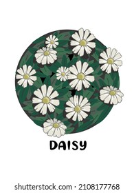 Daisy Flower in Circle Shape. Hand drawn flowers and leaf vector. White daisies. Floral for t-shirt design, invitation, greeting card