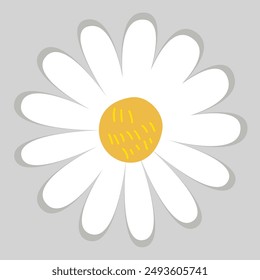 Daisy Flower Clipart Sublimation Set 