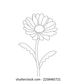 Daisy Flower Coloring Page, Flower Line art vector, Flower Coloring page And Book With Decorative Floral background Design 