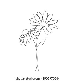 Daisy flower in continuous line art drawing style  Chamomile One line drawing art  Minimalist black linear sketch  Vector illustration