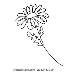 Daisy flower continuous one line drawing. Vector illustration isolated. Minimalist design handdrawn.