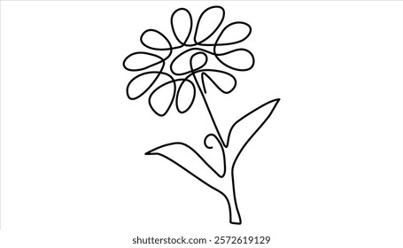 Daisy flower continuous one line drawing illustration