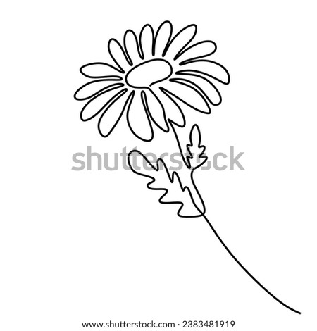 Daisy flower continuous one line drawing. Vector illustration isolated. Minimalist design handdrawn.