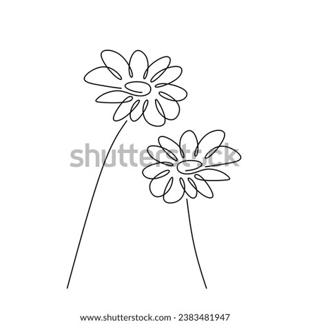 Daisy flower continuous one line drawing. Vector illustration isolated. Minimalist design handdrawn.