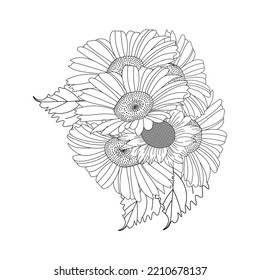 daisy flower design in detailed line art vector graphic and beautiful flowers coloring page. decorative floral background design. blossom petal and leaves sketch of easy pencil drawing. 