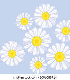 Daisy flower design element for header, card, invitation, poster, cover and other web and print design projects. stock vector illustration
