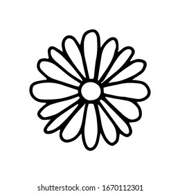 Daisy flower in the Doodle style . Black and white image isolated on a white background.Contour drawing.Vector illustration