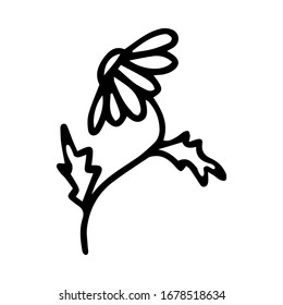 Daisy flower in the Doodle style. Black and white image isolated on a white background.Contour drawing.Vector illustration. Coloring page.