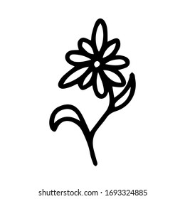 Daisy flower in the Doodle style. Black and white image isolated on a white background.Contour drawing.Vector illustration. Coloring page.
