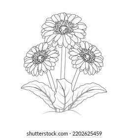 daisy flower drawing kids coloring page with pencil line art design in detailed vector graphic. Black and white drawing on isolated background with blooming flower and leaves design.