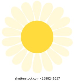 Daisy flower flat vector illustration
