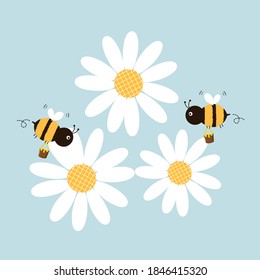 Daisy flower and flying bees cartoon on blue background vector illustration.