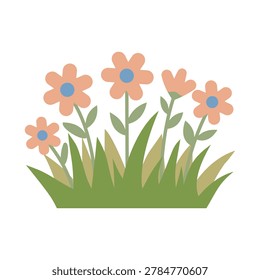 Daisy flower garden bed patch with blooming pink blossoms lawn decoration flat vector