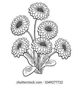 Daisy Outline Images Stock Photos Vectors Shutterstock