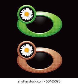daisy flower green and brown round banners