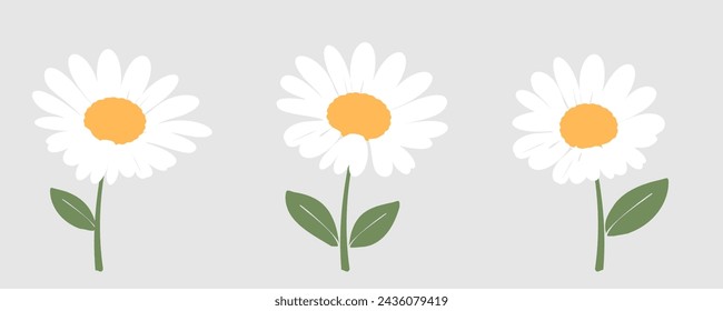 Daisy flower with green leaves on grey background vector. Cute wall art decoration. 