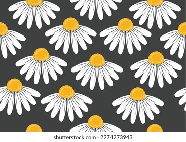 daisy flower hand drawn design vector