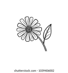 Daisy flower hand drawn outline doodle icon. Field daisy flower with a petal vector sketch illustration for print, web, mobile and infographics isolated on white background.