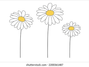 daisy flower hand drawn vector design