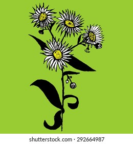 daisy flower from the hand of the handle vector illustration