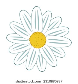 Daisy flower head isolated vector illustration in simple colorored doodle style. Chamomile plant clipart. Floral design element. Medical herb. Botanical drawing. Garden clip art. Flower icon or logo.