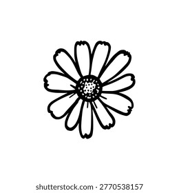 Daisy flower icon logo design. Marguerite bloom sign and symbol. Daisy icon. Hand drawn floral decoration.
