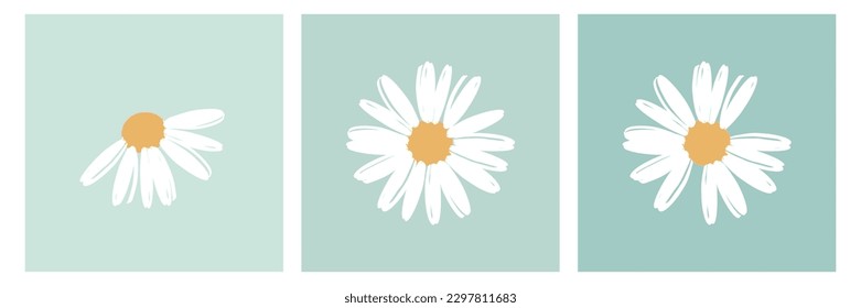 Daisy flower icon logo on green backgrounds vector illustration.