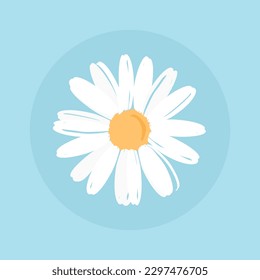 Daisy flower icon sign on blue background vector illustration.