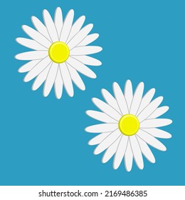 Daisy Flower Icon Vector Illustration Best Stock Vector Royalty Free Shutterstock