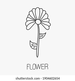 Vector de ícono de flor de margarita aislado en fondo blanco. Simulación floral con delgados contornos negros para el jardín y diseño minimalista de boho de lujo. Planta aislada para la ecología y la naturaleza.