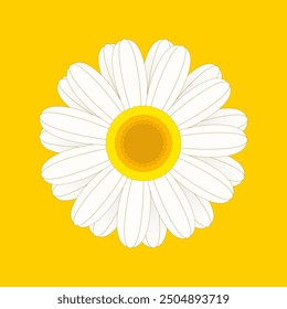 Daisy Flower illustration, Isolate Floral and Botany Graphic Elements, Cute White Flower, Decoration Clip art in Nature Theme, Minimal Vector stock
