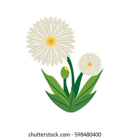daisy flower image icon vector illustration eps 10