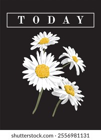 daisy flower isolated on black background	

