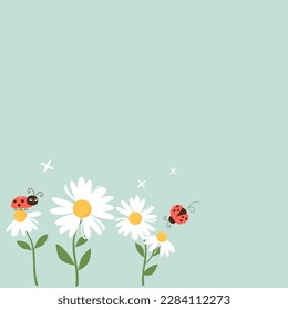 caricaturas de flores de margarita y ladybird sobre ilustración vectorial de fondo verde.