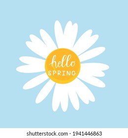 Daisy flower with lettering hello spring isolated on white background vector illustration.