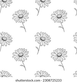 Daisy flower line art seamless pattern. Black outline vector botanical art. Modern floral background.