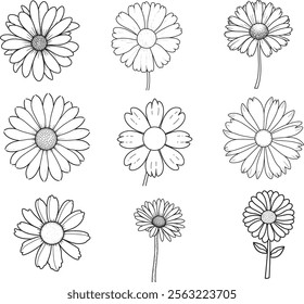 Daisy flower line art vector on white backgroun 