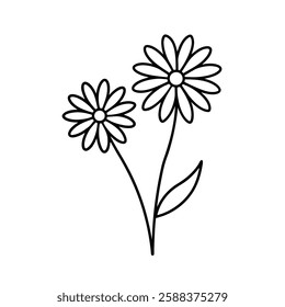 daisy flower line art vector on white background