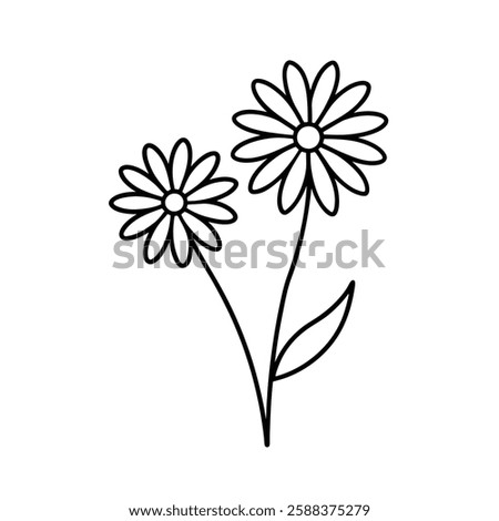 daisy flower line art vector on white background