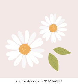 Daisy Flower Logo With Leaves On Grey Background Vector Illustration