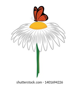 Daisy flower with long petals and yellow center. The daisy flower on top of which sits a machaon butterfly.