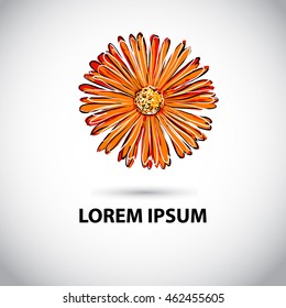daisy flower object logo. Vector