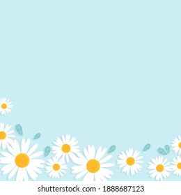 Flor de margarita en ilustración vectorial de fondo azul.  