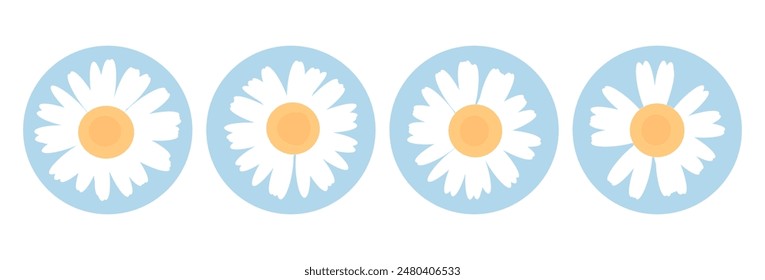 Daisy flower on circle blue signs isolated on white background vector. Floral wall art decoration.