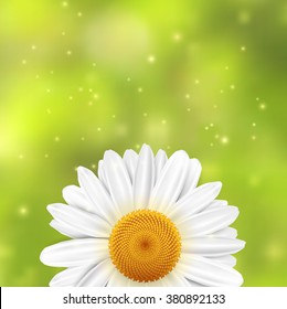 Daisy flower on a green blurred background with sparkles. Vector illustration.