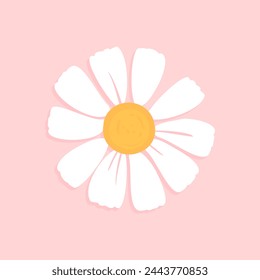 Daisy flower on pink background vector.