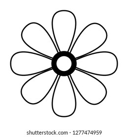 daisy flower on white background