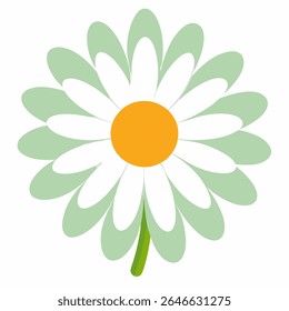 Gänseblümchen auf weißem Hintergrund