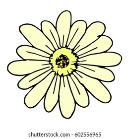 Daisy flower on white background vector illustration. Cloth design, wallpaper, wrapping, textiles, paper, cards, invitations, holiday
